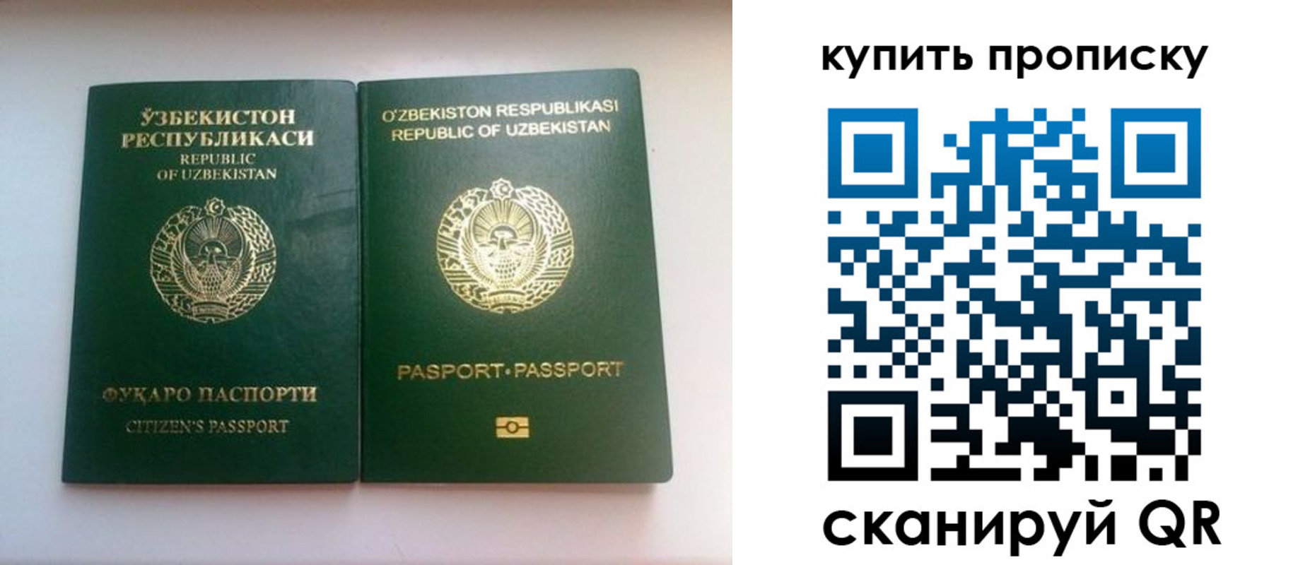 временная прописка в Светлограде